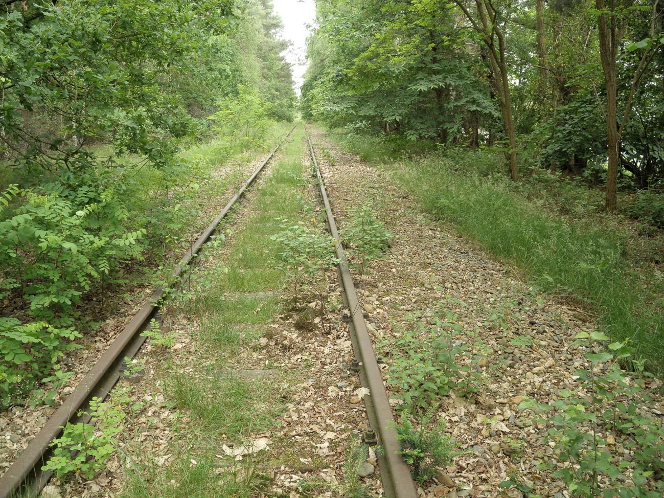 3.2 IJzeren Rijn De spoorlijn van Antwerpen naar het Ruhrgebied loopt over 48 kilometer door Nederland, via Budel, Weert, Roermond naar Vlodrop.