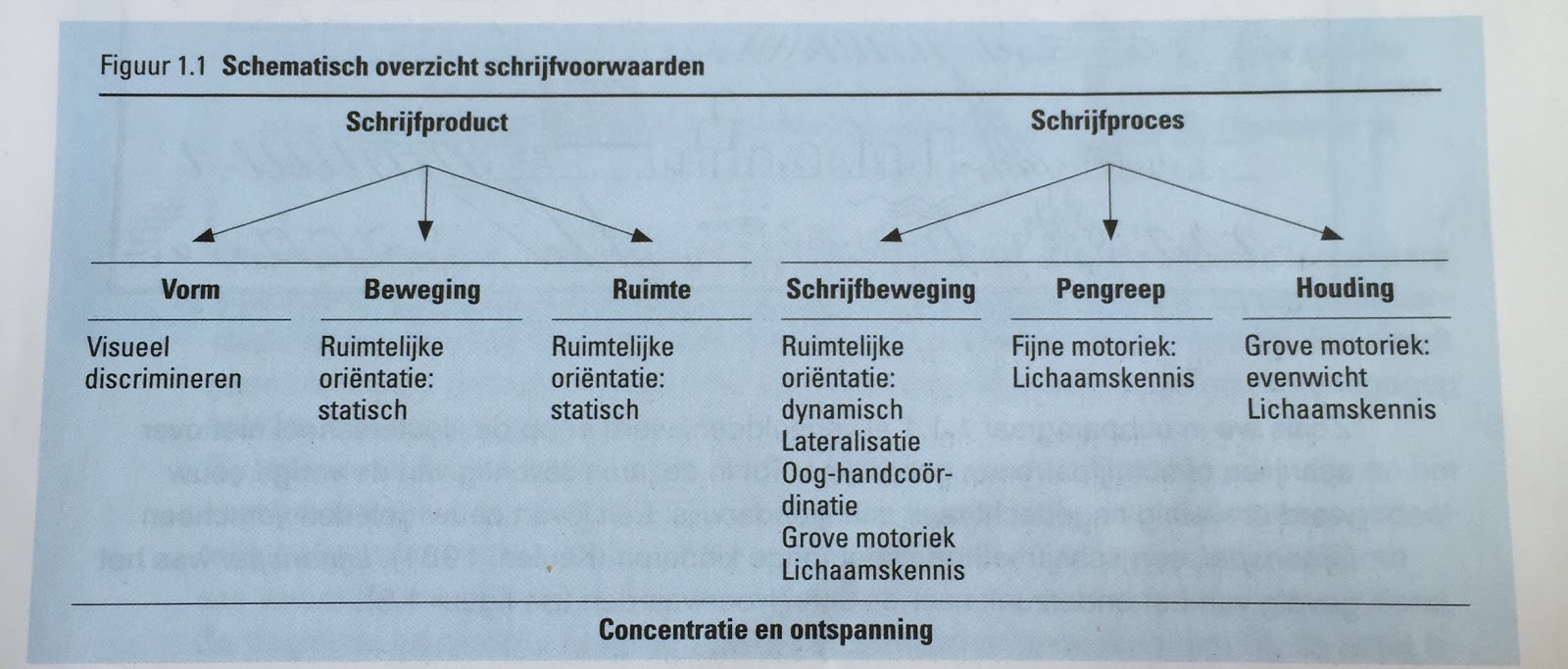 3. Signalering In deze fase van het ergotherapeutisch proces gaat het om het signaleren van mogelijke problematiek in het voorbereidend schrijven.