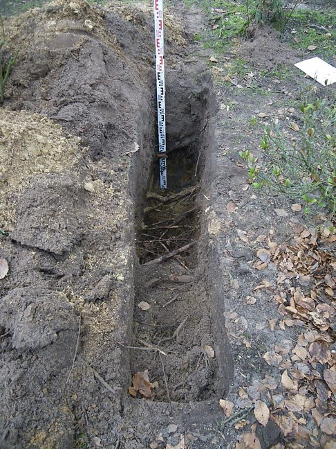 Bodemonderzoek bij boom 4 (bruine beuk) Op 1,1 m uit de stam van de boom is aan de zuidoost zijde een profielkuil gegraven.