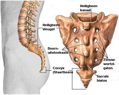 Inleiding Deze brochure biedt u de nodige informatie over coccyx infiltratie. U leest hierin meer over de behandeling zelf en eventuele nazorg van de behandeling.