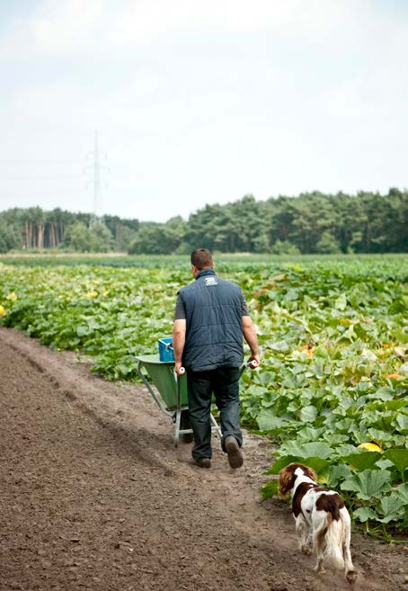 Om naast de bovenstaande kwantitatieve marktinfo ook te polsen naar de achterliggende drijfveren van consumenten, beschikt VLAM sinds 2013 over een online research community De Marktmaker.