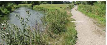 Natuurzones T58-Boschkens Natuurwaarden versterkt rond surfplas, woonwijk en bedrijventerrein Wie ter hoogte van Goirle over de A58 rijdt, kan ze niet missen: de enorme bakken met dennen tegen de