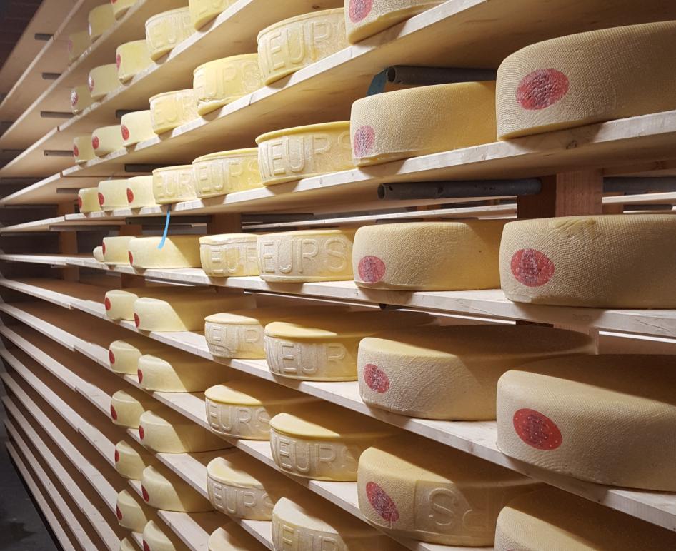 Het Binnenveld is een nieuw kaas-initiatief rijker MEESTER-AFFINEURS bestaat sinds 2 jaar en is een ambachtelijke kaasmakerij. Het bedrijf verwerkt op kleinschalige manier melk uit het Binnenveld.