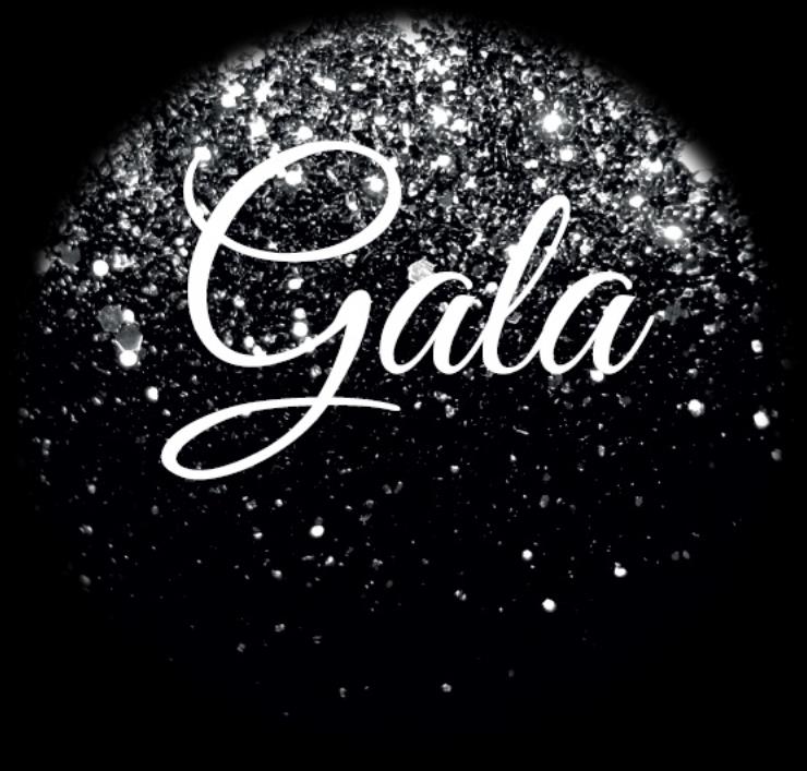 Galacommissie Gala organiseren (met