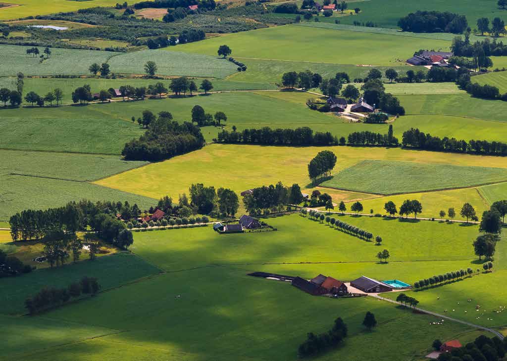 Landelijk gebied Divers en aantrekkelijk landschap Landelijk gebied Erfinrichting Traditionele erfbeplanting In landelijke gebieden dreigt de traditionele erfbeplanting te verdwijnen, onder meer