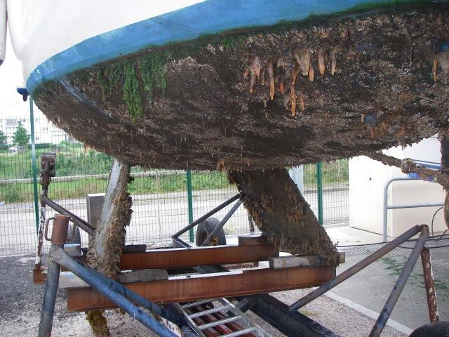 Doel van de antifouling Voorkomen van aangroei op de scheepshuid.