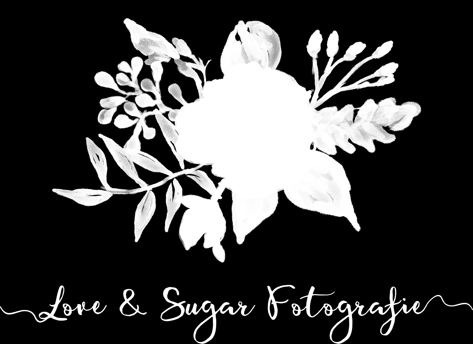 ALGEMENE VOORWAARDEN Love & Sugar Fotografie Alphen aan den Rijn KvK 61320773 Versie November 2016 Artikel 1. Definities In deze algemene voorwaarden wordt verstaan onder: 1.