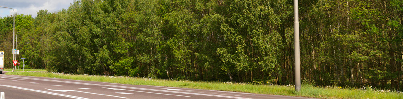 Parallelweg Bewoners vroegen aandacht voor de verkeersveiligheid op de parallelweg als deze tijdens calamiteiten op de N35 als alternatieve route wordt ingezet. Dit houden we zeker in het oog.