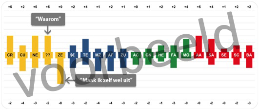 Uitslag De RichtingWijzer wordt weergegeven in twee figuren. Het eerste figuur bestaat uit allemaal (gekleurde) staafjes die omhoog staan, naar beneden of soms allebei. Ook staan er letters in.