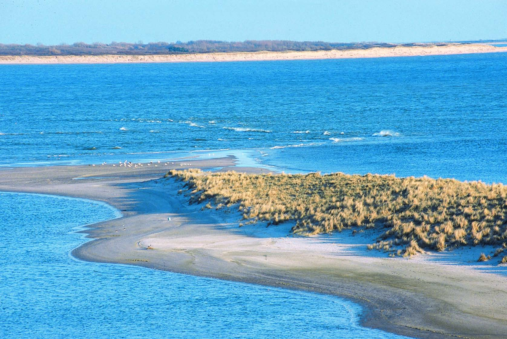 Bijgaande tabel geeft een overzicht van alle negen ruimtelijke besluiten en vergunningen die nodig zijn om Maasvlakte 2 te realiseren.