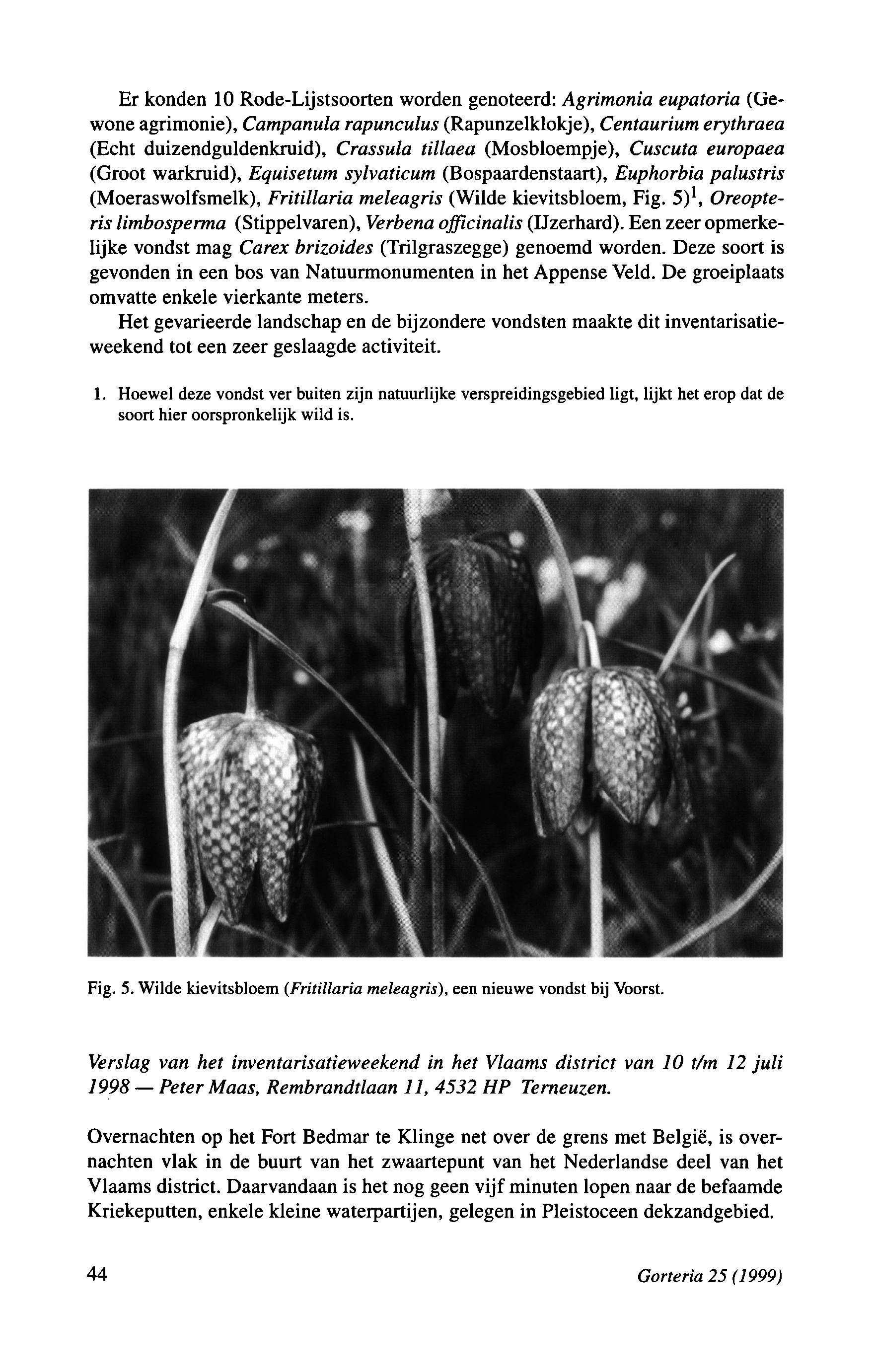Peter Er konden 10 Rode-Lijstsoorten worden genoteerd: Agrimonia eupatoria (Gewone agrimonie), Campanula rapunculus (Rapunzelklokje), Centaurium erythraea (Echt duizendguldenkruid), Crassula tillaea
