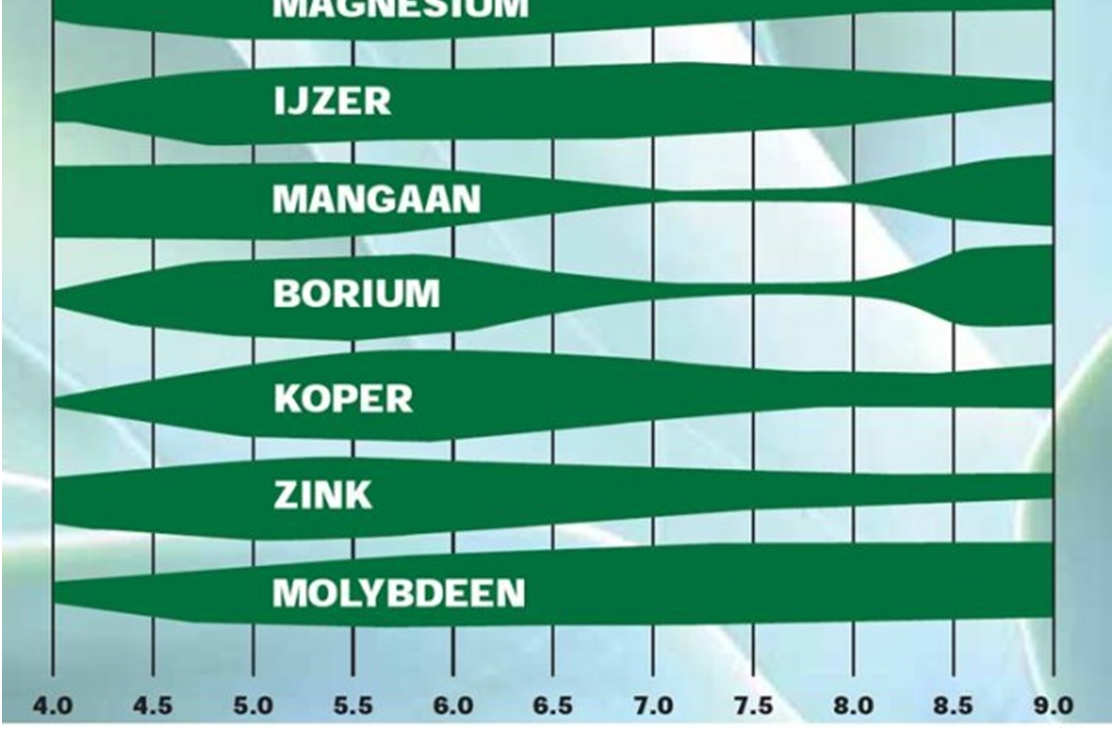zuurtegraad (ph-kcl) belangrijk voor opneembaarheid voedingselementen: fosforgebrek, veroorzaakt