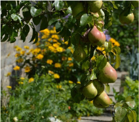 Bodemanalyses door de Bodemkundige Dienst 8414 bodemstalen 5 tuintypes aan te leggen