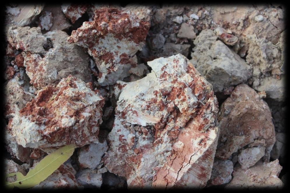 Soil organic matter important for: N and S mineralization Binding (part of CEC) of K, Mg, Ca Water holding