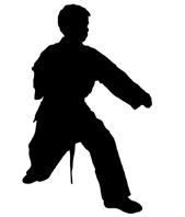 Cursusnummer 5 Jeet - Kune Do Een vechtsport met de stijl van de legendarische filmheld Bruce Lee uit de jaren 70. De meest com plete stijl qua oefenvorm uit het oude China.