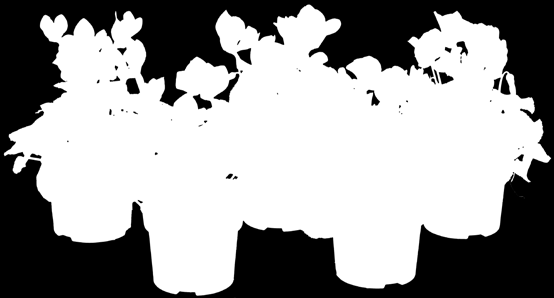 TUINAANLEG en ONDERHOUD Hoveniersbedrijf Tuin- en Bloemencentrum Tuinontwerp, aanleg en onderhoud Bloemen, tuin- en kamerplanten en overige tuinartikelen De prijzen zijn afhaalprijzen incl.