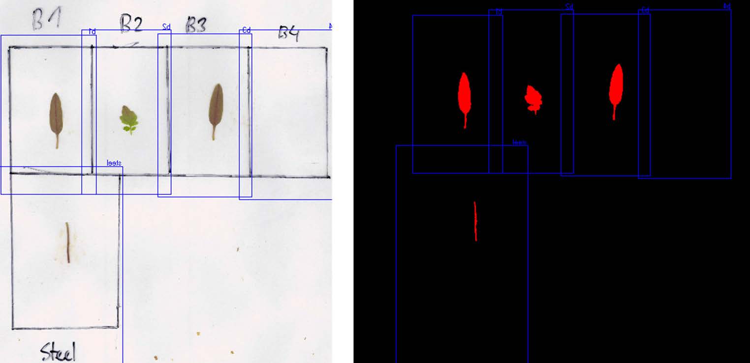 .. (2015) Validation of plant part measurements using a 3D reconstruction