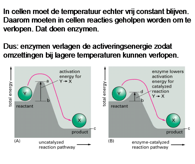 Moleculen in Leven Hoofdstuk 7. Hoe werkt een chloride-ionenpomp? Vraag 7-4 Activeringsenergie Gegeven zijn twee reacties met de volgende energieprofielen.