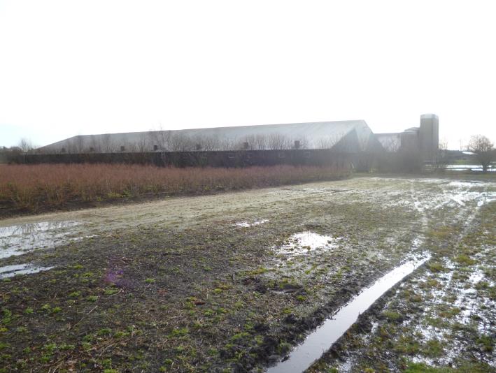 Definitief Landschapsplan in het kader van Uitbreiding locatie Bedrijf Manstal BV, locatie Nieuwenhofweg 4 Melderslo Bedrijf dhr. Johan Schipstal p/a Ericaweg 4 5454 NM Sint Hubert.