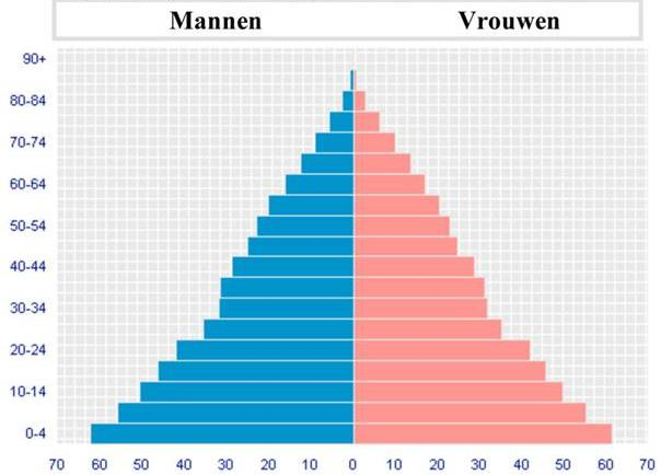 1. LITERATUURSTUDIE 1.1. WEERSLAG VERGRIJZING OP GEZONDHEIDSZORG 1.1.1. De zuivere vergrijzing In 1881 vertoonde de bevolkingspiramide van België een gezonde piramidale structuur, gekenmerkt door een brede basis en een smaller wordende top (fig.