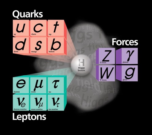 Elementaire deeltjes in het Standaardmodel Leptonen: deeltjes zonder sterke wisselwerking (alleen zwak, electromagnetisch) 3 families (en antideeltjes) 5-3 5-3 1,5 0,3 173 4,8 91 0 Quarks: voelen ook