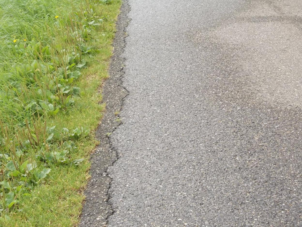 Bijlage 6 Foto s Foto 8: Relatief veel randschade en bermschade