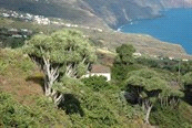 Wandelreizen / Europa / Spanje Code 101245 R groepsreis Niveau Accommodatie Waardering Spanje - La Palma, 8 dagen La Isla Bonita, wandelvakantie vanuit 2 hotels La Palma, een piepklein eilandje dat
