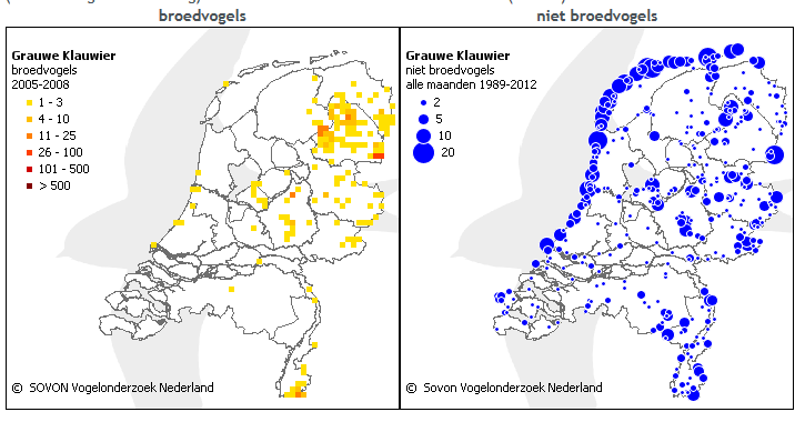 De Grauwe Klauwier komt voor in geheel Europa, maar minder in gebieden met een Noordzeeklimaat. Vooral in Spanje en Oost-Europa komt de soort het meeste voor. Bron; www.sovon.