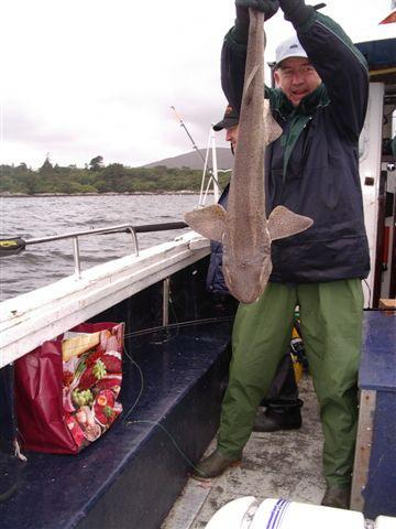 Ook werden er nog wel wat grote makrelen gevangen. Wat de vistrip nog wel een beetje opfleurde was dat één van ons drieën, Jan Visser whats in a name een kathaai wist te vangen van ca. 107cm.
