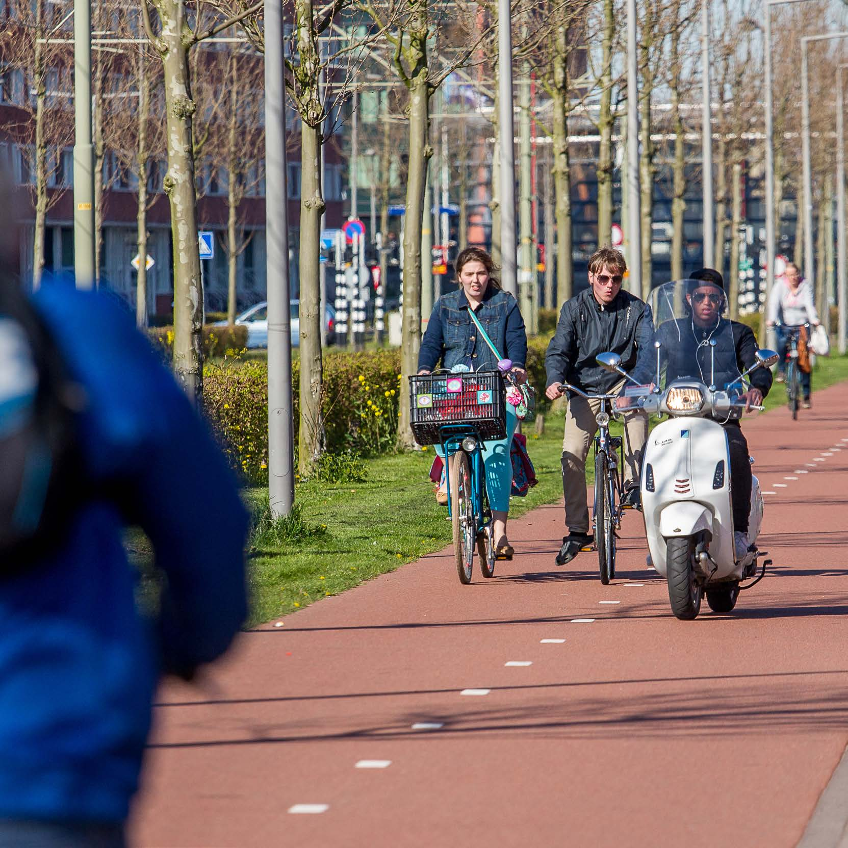 Gebruikers van het fietspad in de stad Op fietspaden in grote steden is het op specifieke locaties en tijdstippen te druk voor de breedte van het fietspad.
