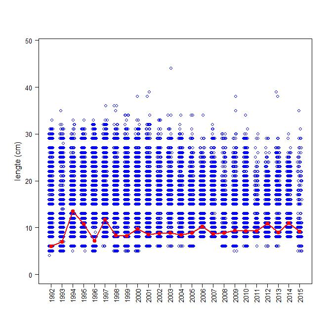 Figuur 3.2 Plot van de lengtes van alle baarzen (blauwe cirkels) gevangen in de openwatersurvey met kuil/boomkor door de jaren heen. Rode lijn = de gemiddelde lengte per jaar.