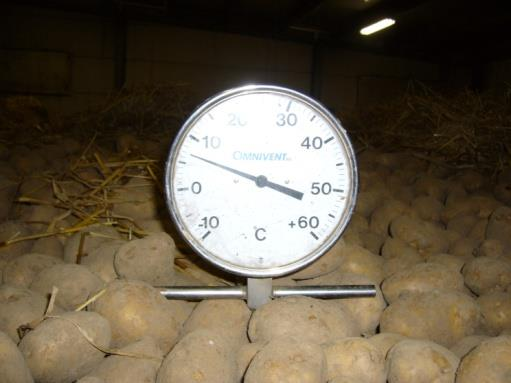 Drogen Niet nodig wanneer de aardappelen droog binnenkomen, wel nodig bij moeilijke rassen Correct drogen start met meten!
