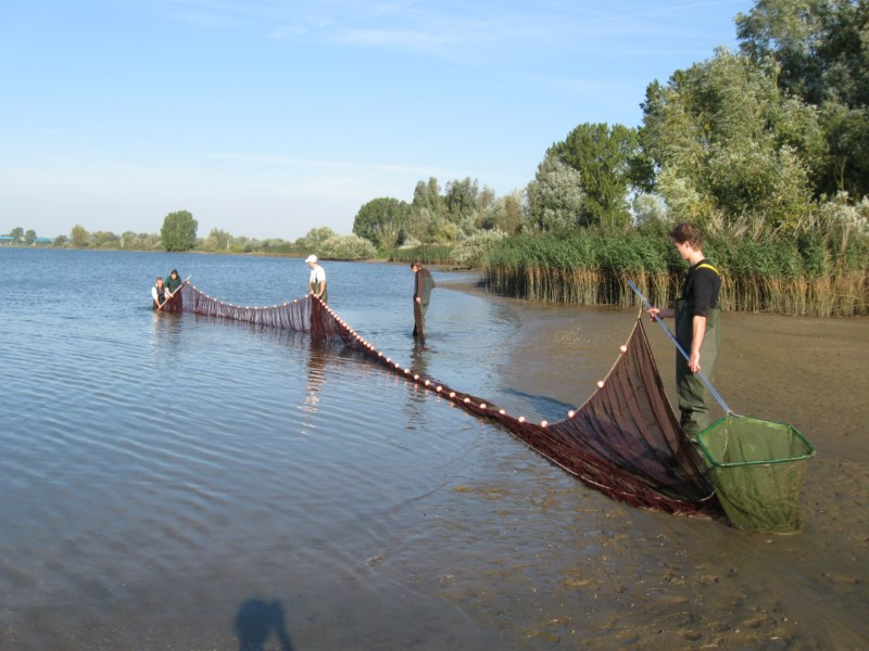 Stichting RAVON M.