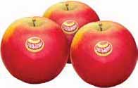 PRIJSWEKEN BIJ MCD! RONDE PR Hollandse Kanzi of Junami appels tas ca. 1.5 kilo van.99 voor TAS kilo 1.33 00 gram Hollandse spruiten zakken à 500 gram van 1.58 voor van 3.38 voor 00 GRAM kilo 15.