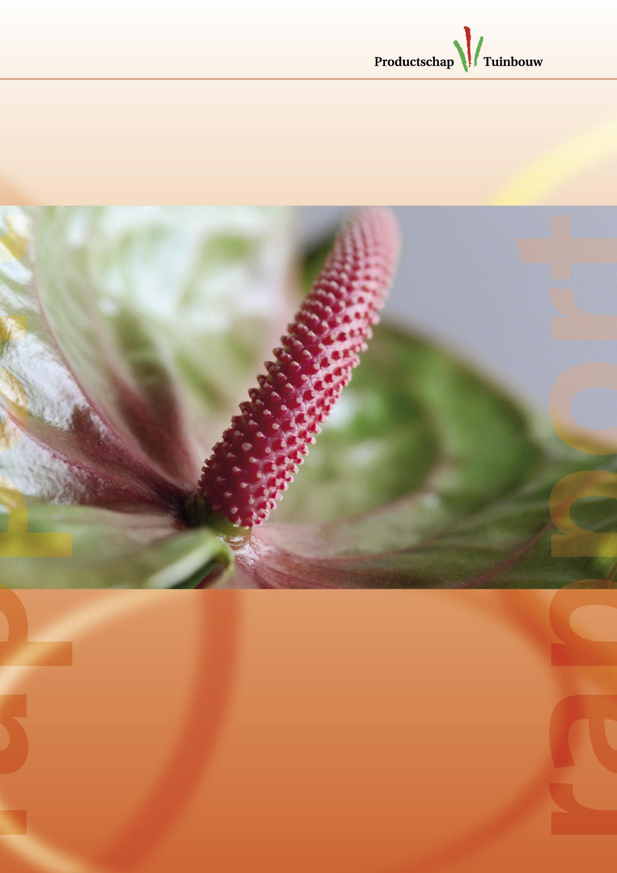Anthurium: veelzijdige en bijzondere bloem Onderzoek onder bloemisten (NL, DE, FR, UK) en consumenten (NL, DE, FR, UK, ES, IT) naar