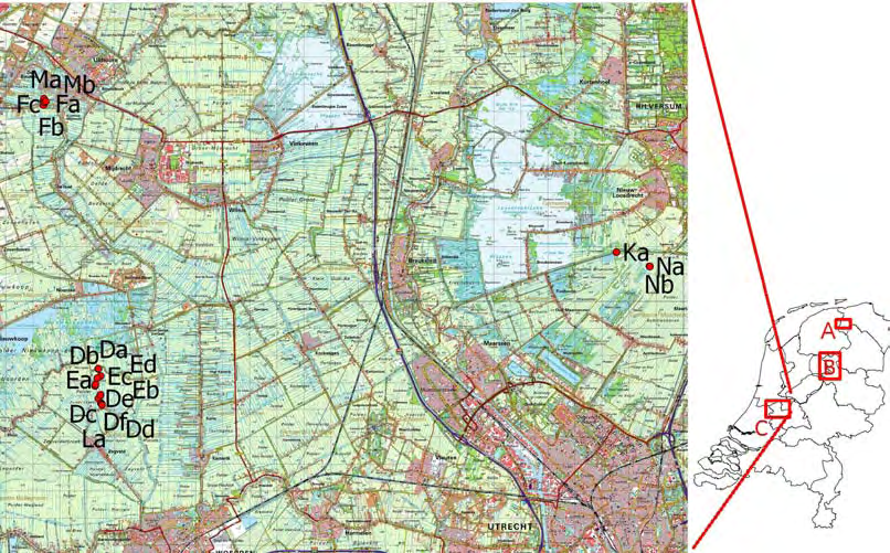 Figuur 2.5. Overzicht locaties Utrecht en Noord-Holland. Linksboven zijn de proeflocaties in de Uithoornse polder, Rechts de locaties bij Tienhoven en linksonder de locaties bij Zegveld. 2.3 Meetschema De planten werden op 18 juni 8 juli 23 ingezet.