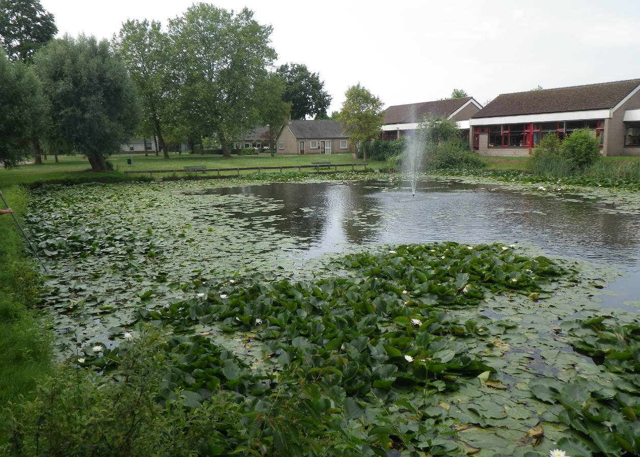 - Gemeentewateren te Woudenberg - Een deel van de Zeelandvijver.