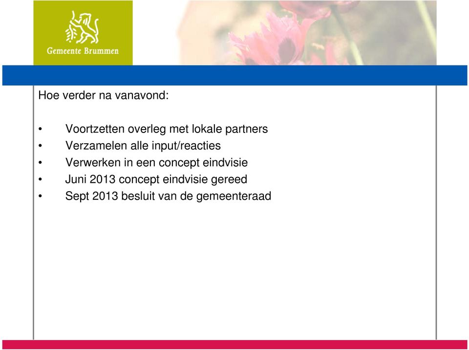 Verwerken in een concept eindvisie Juni 2013