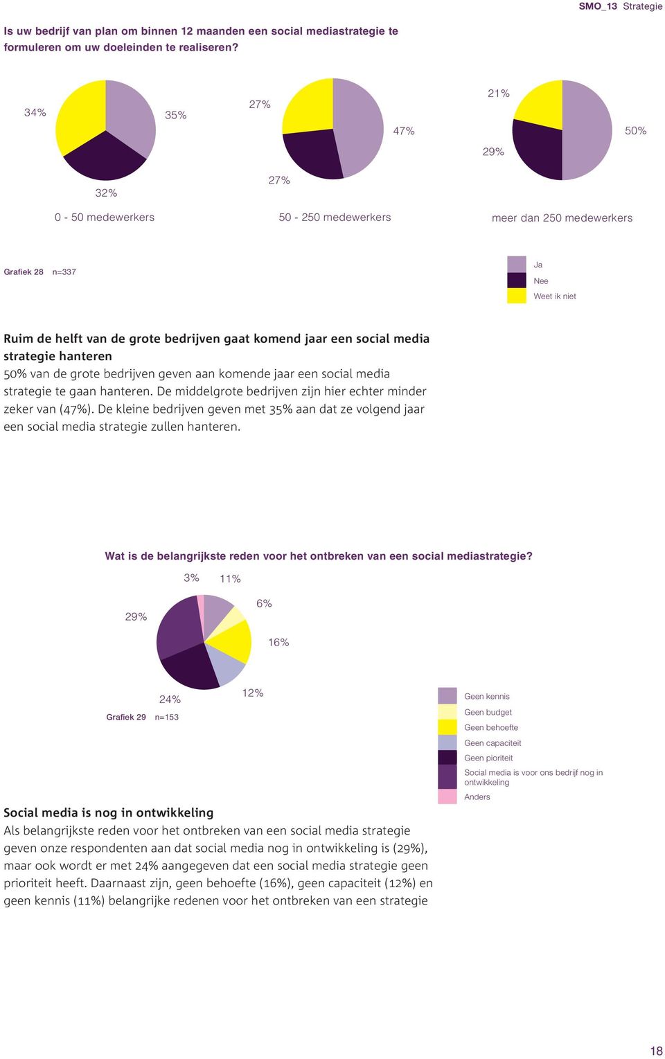 media strategie hanteren 50% van de grote bedrijven geven aan komende jaar een social media strategie te gaan hanteren. De middelgrote bedrijven zijn hier echter minder zeker van (47%).