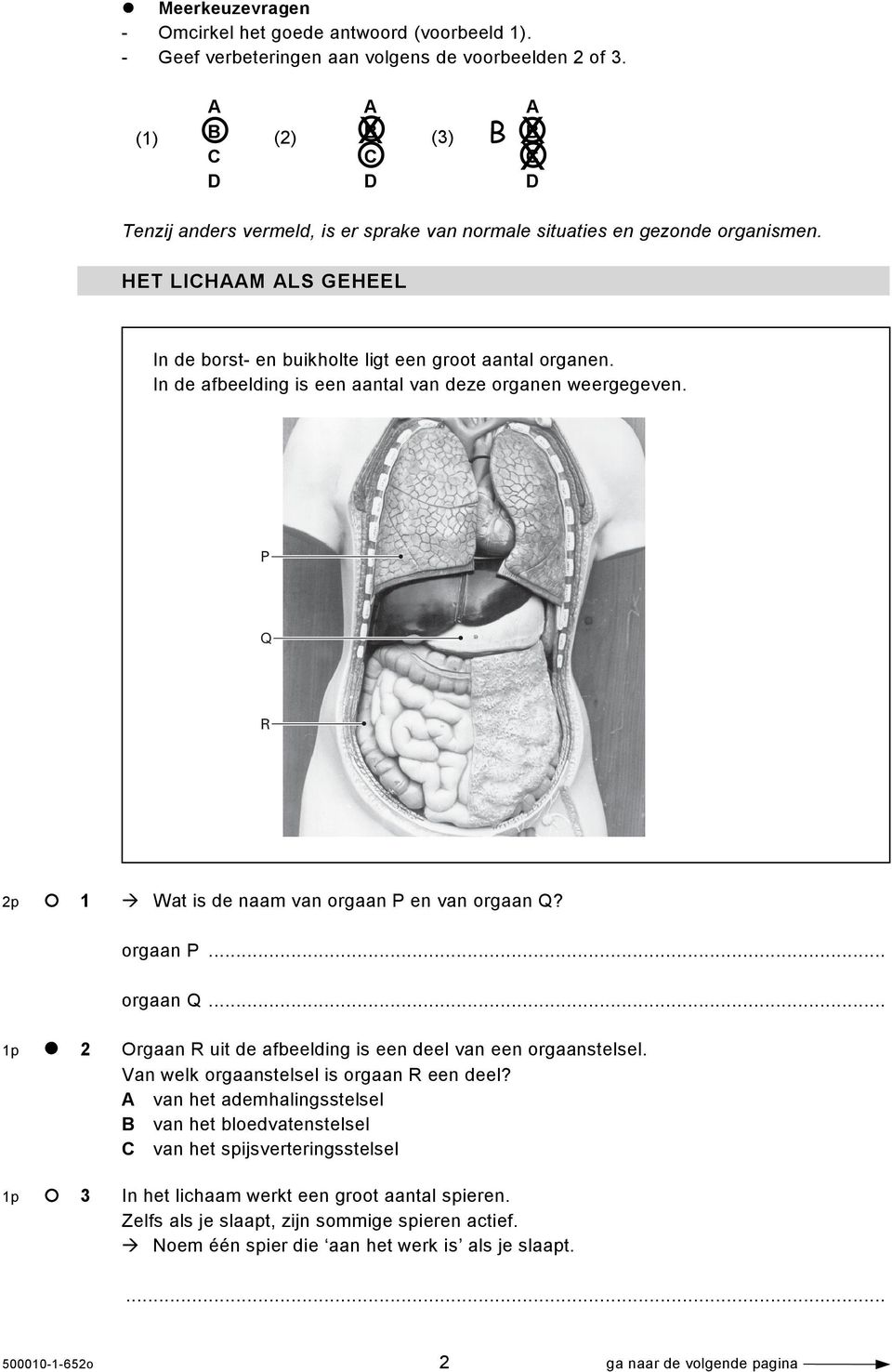 HET LICHAAM ALS GEHEEL In de borst- en buikholte ligt een groot aantal organen. In de afbeelding is een aantal van deze organen weergegeven. P Q R 2p 1 Wat is de naam van orgaan P en van orgaan Q?