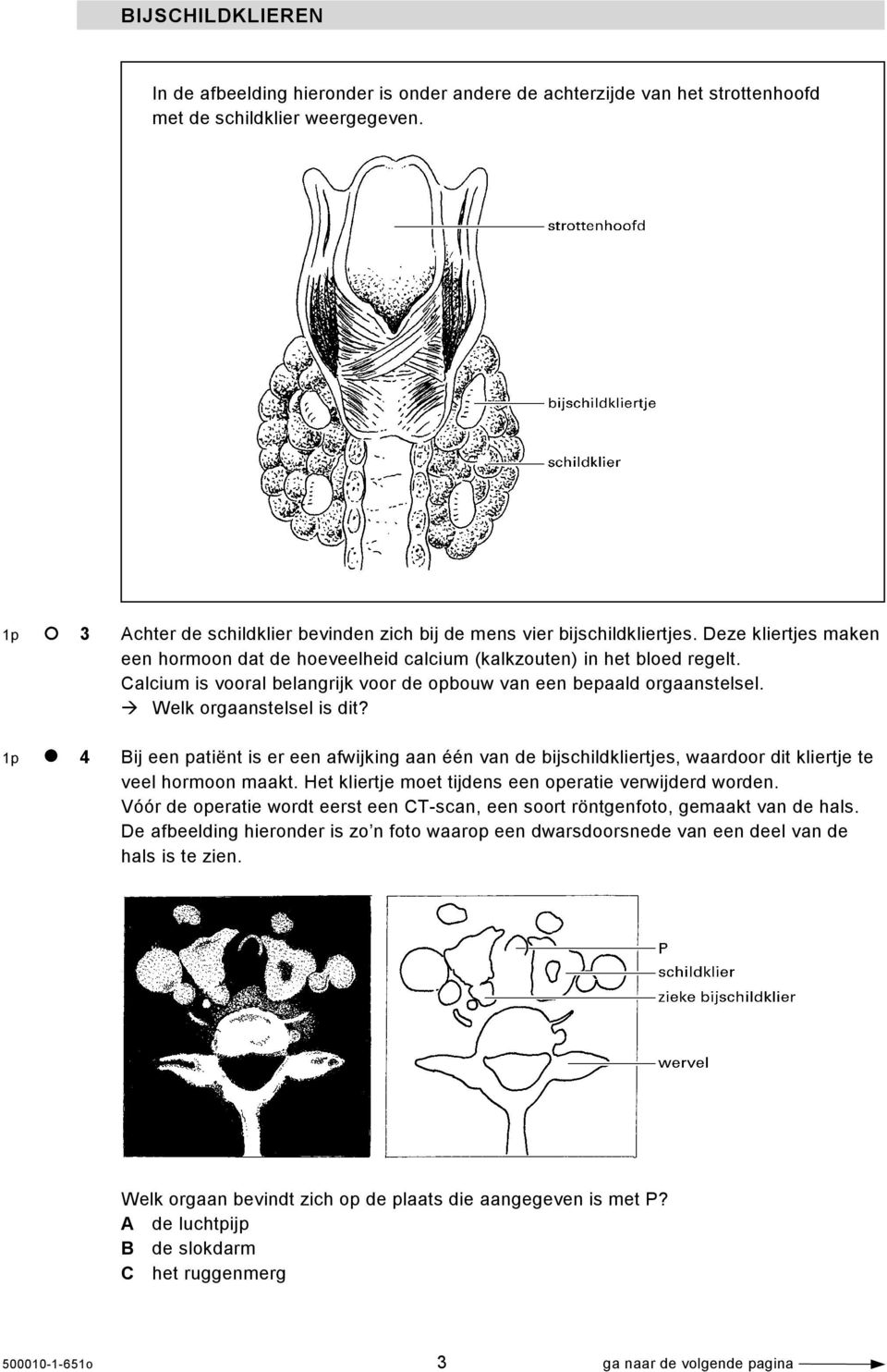 Calcium is vooral belangrijk voor de opbouw van een bepaald orgaanstelsel. Welk orgaanstelsel is dit?