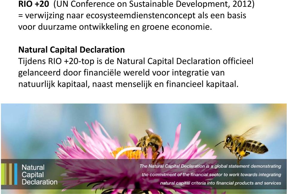 Natural Capital Declaration Tijdens RIO +20 top is de Natural Capital Declaration officieel