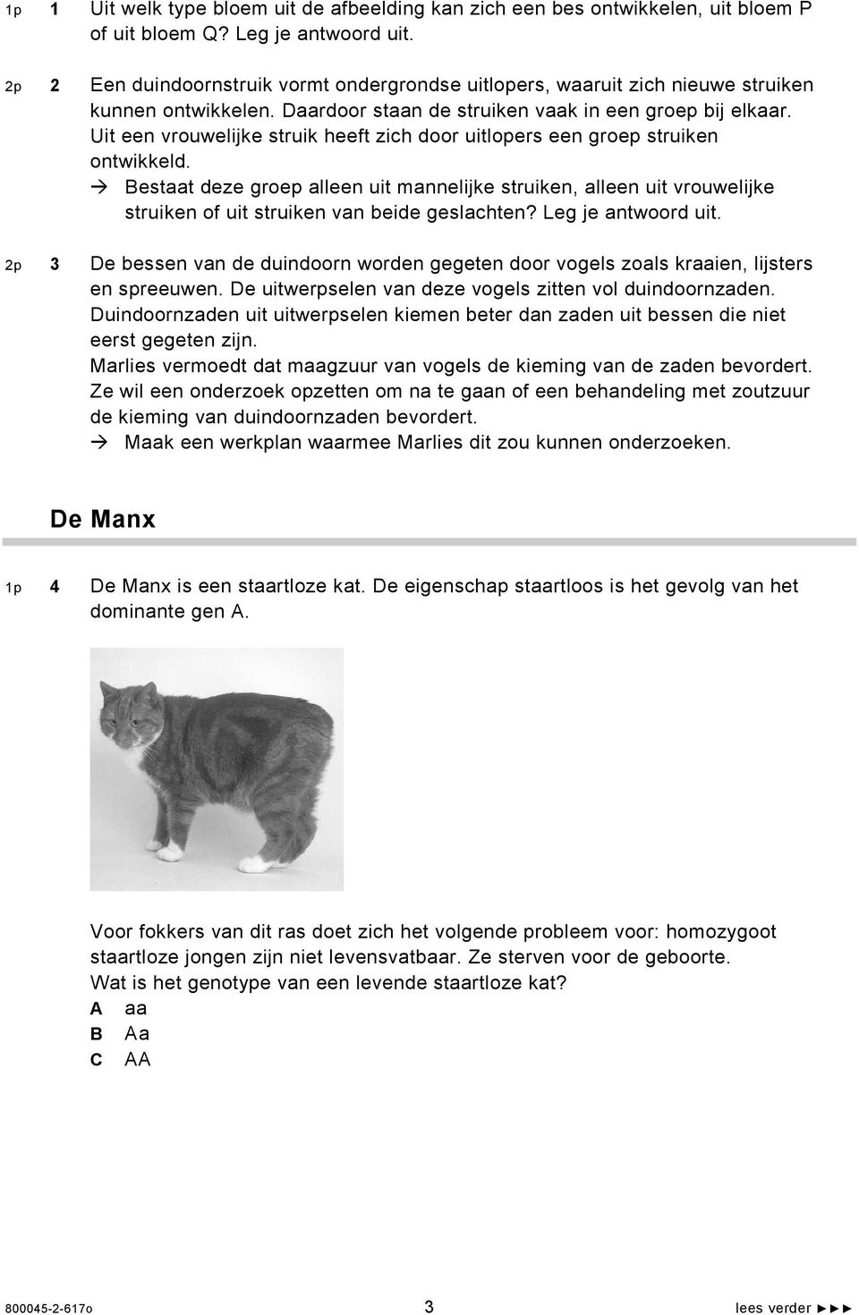 Uit een vrouwelijke struik heeft zich door uitlopers een groep struiken ontwikkeld.