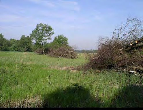 Kaartblad 3 Object 1. Strook bos verwijderd die openheid met oeverzone doorbrak. In de strook om de beheerplek heen staan enkele tientallen waterzuringplanten. Foto 3-1-rO Object 2.