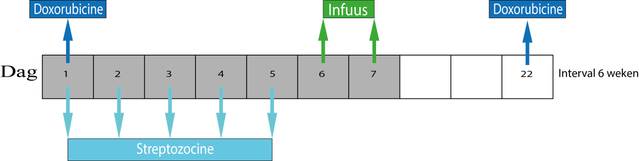 Behandelplan De chemotherapie behandeling die u gaat krijgen bestaat uit de combinatie van streptozocine en doxorubicine. De doxorubicine krijgt u op dag 1 en op dag 22.