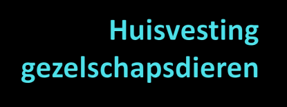 Hoofdstuk 1 Huisvestingsvormen Voor welke huisvestingsvorm je kiest hangt af van: Wat is praktisch Wat is duurzaam Wat is geschikt voor het dier Wat zijn de kosten