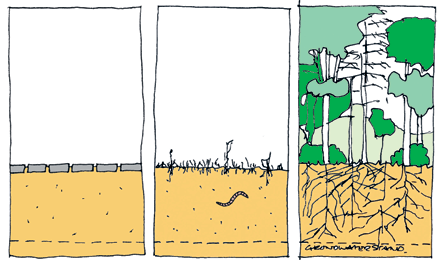 Waarvoor is beplanting nog meer goed? Hogere beplanting zoals heesters verhoogt het opnamevermogen van de bodem met een factor drie ten opzichte van kale grond.