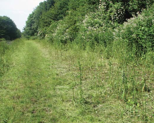 Stichting Natuurvrienden Capelle aan den IJssel e.o.