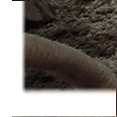 5. Vul het gat om de put op met schoon zand tot ca. 30 cm onder de putrand 6.