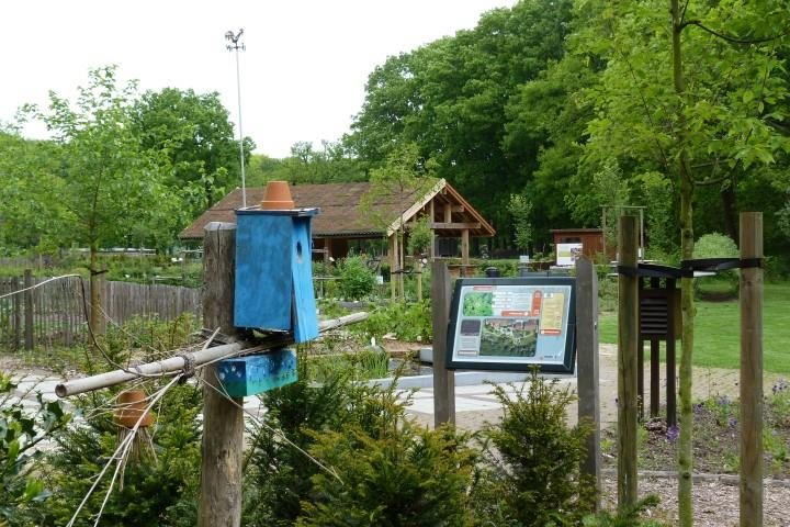 AMBER tuinencampagne Centrum Duurzaam Groen, Limburg.net en hun partners werken al geruime tijd samen in een campagne rond het thema duurzaam en afvalarm tuinieren.
